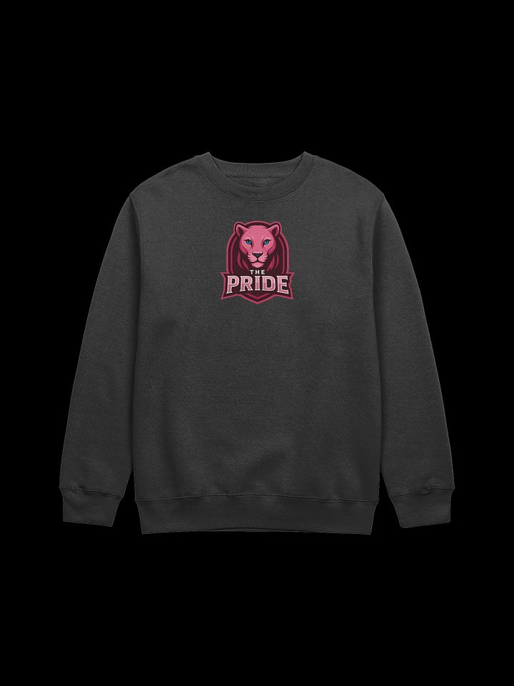 The Pride long sleeve product image (21)