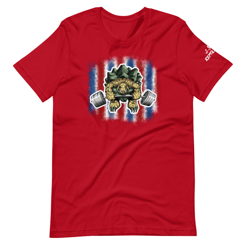 4th of July Turtle T-Shirt product image (2)