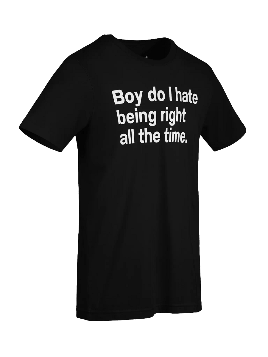 Boy do I hate being right all the time. Unisex T-Shirt product image (90)