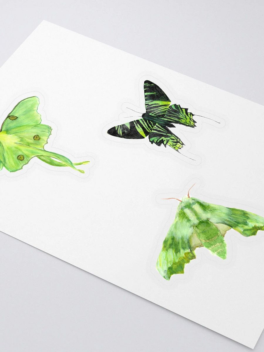 Green Moth Sticker Pack product image (2)