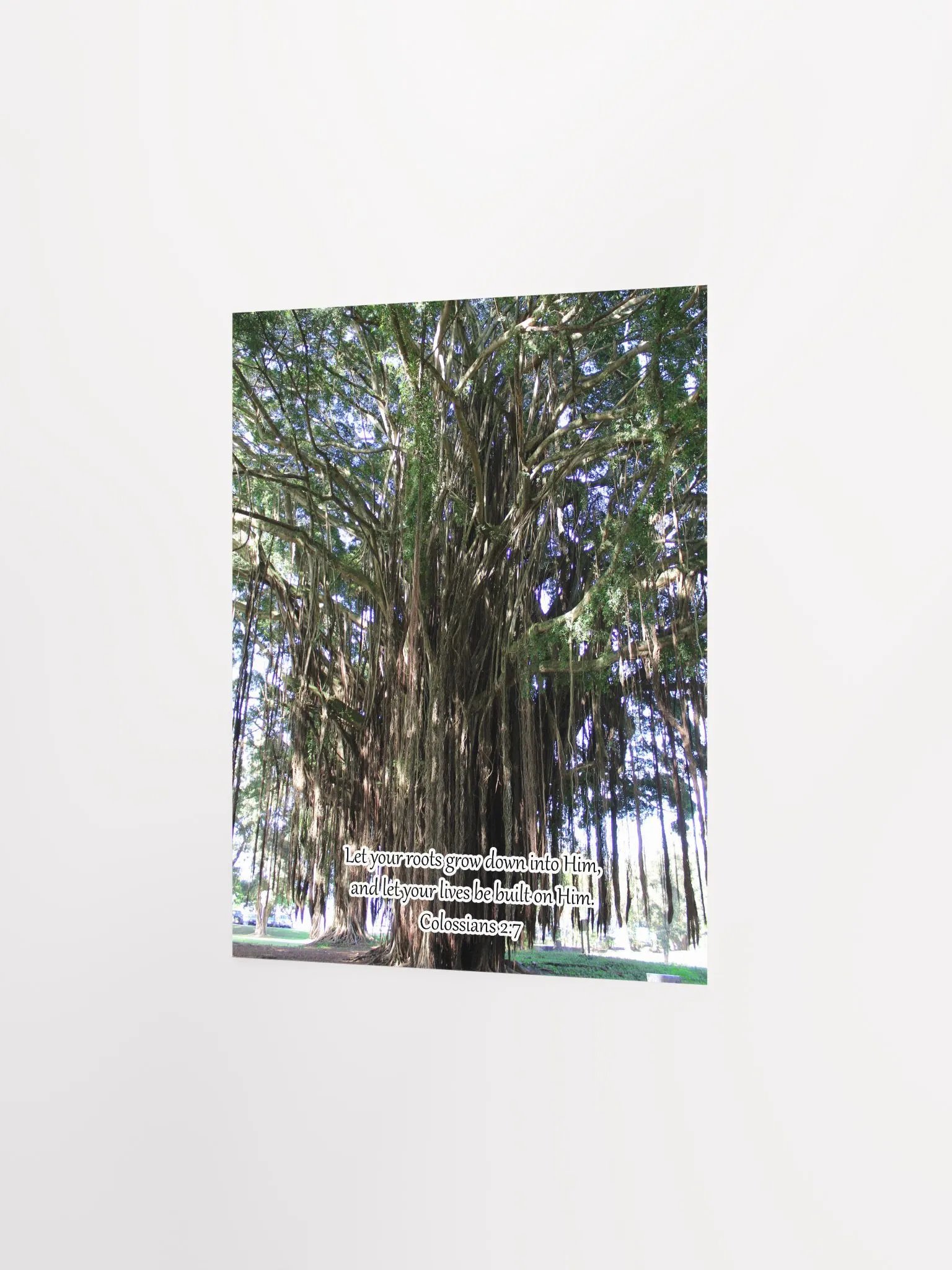 Let your roots grow into Him - Print product image (2)
