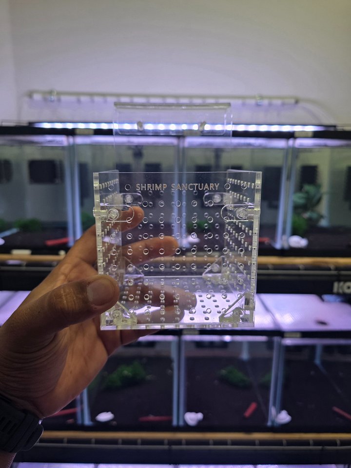 SHRIMP SANCTUARY RESET BASKET product image (1)