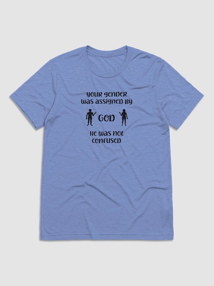 Your Gender Was Assigned by GOD. Tri-Blend Tee product image (1)