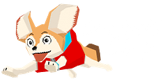Bazinski Shop
