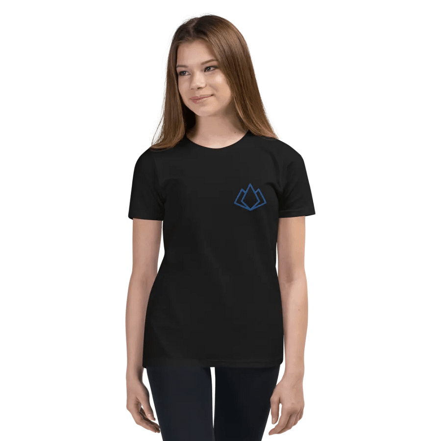Youth Tee - Embroidered product image (11)