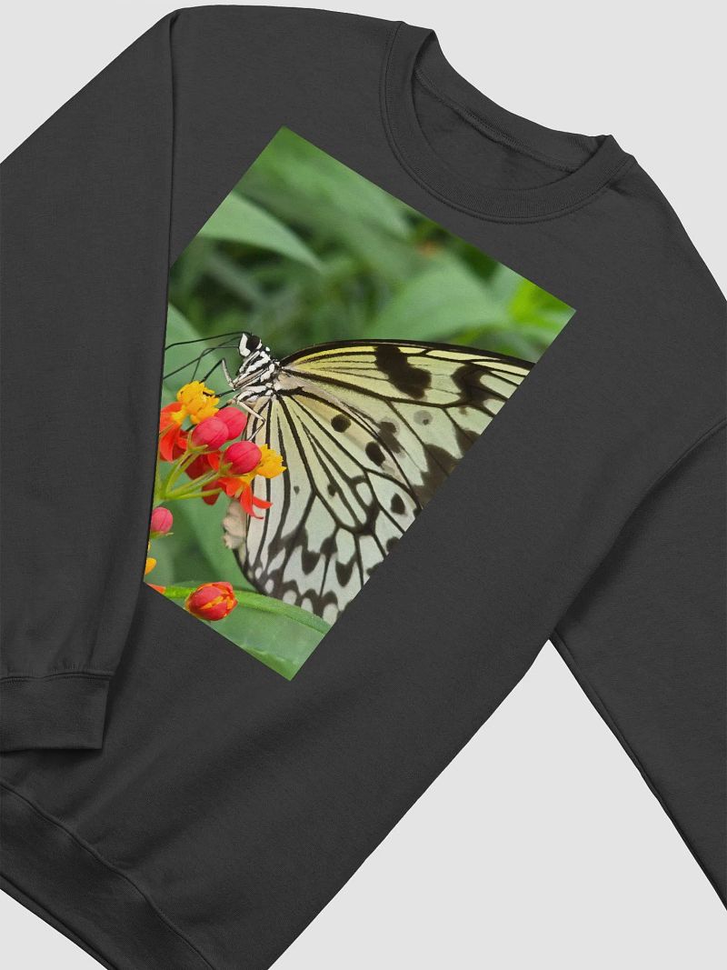 Paper Kite Tropical Butterfly Unisex Jumper