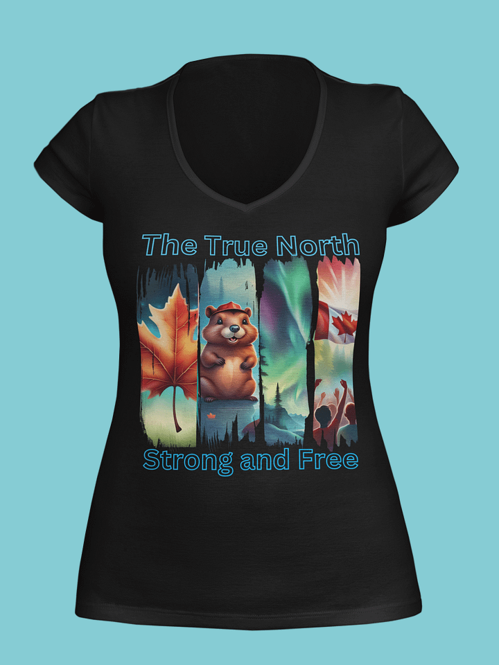 True North Vibe Women's V-Neck Tee product image (13)