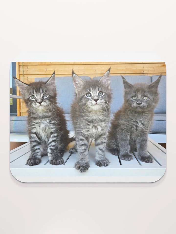 Luna's Kittens - Mouse Pad product image (2)