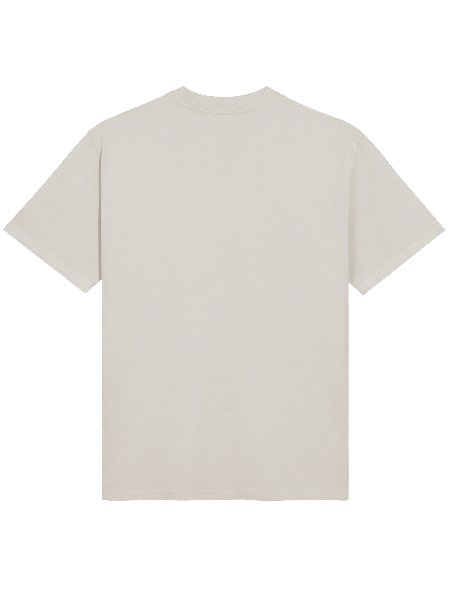 AS Colour Premium Oversized Faded T-Shirt：guess what i'm doing product image (13)