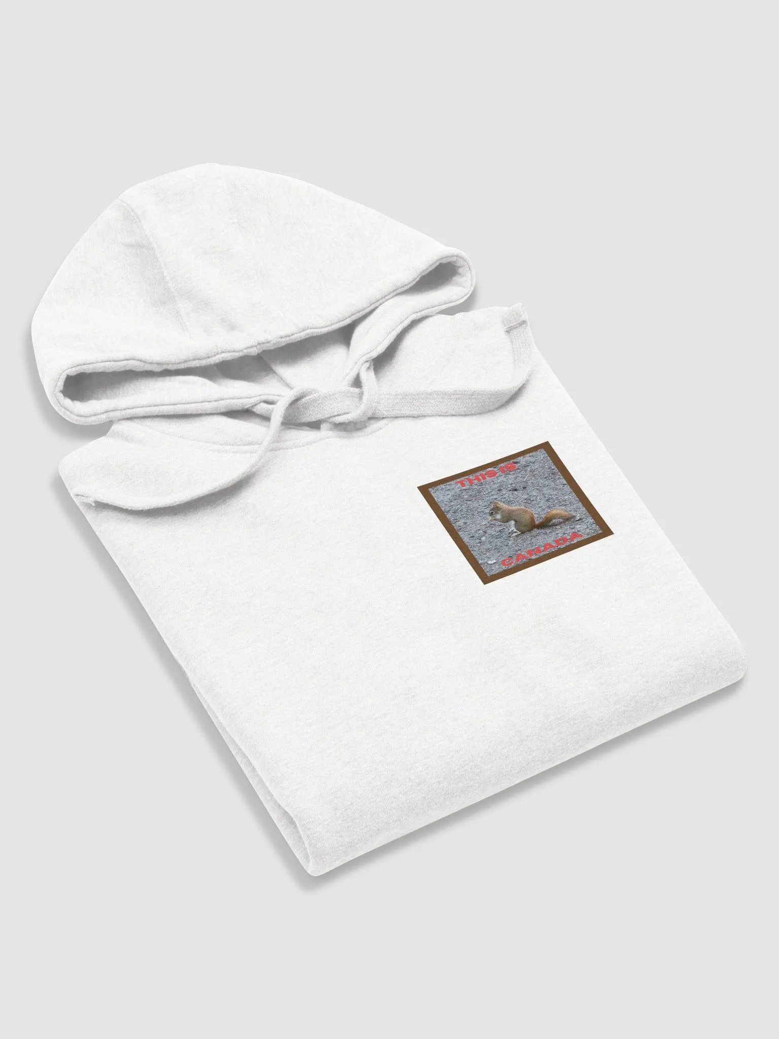 Adorable Red Squirrel Premium Hoodie product image (5)