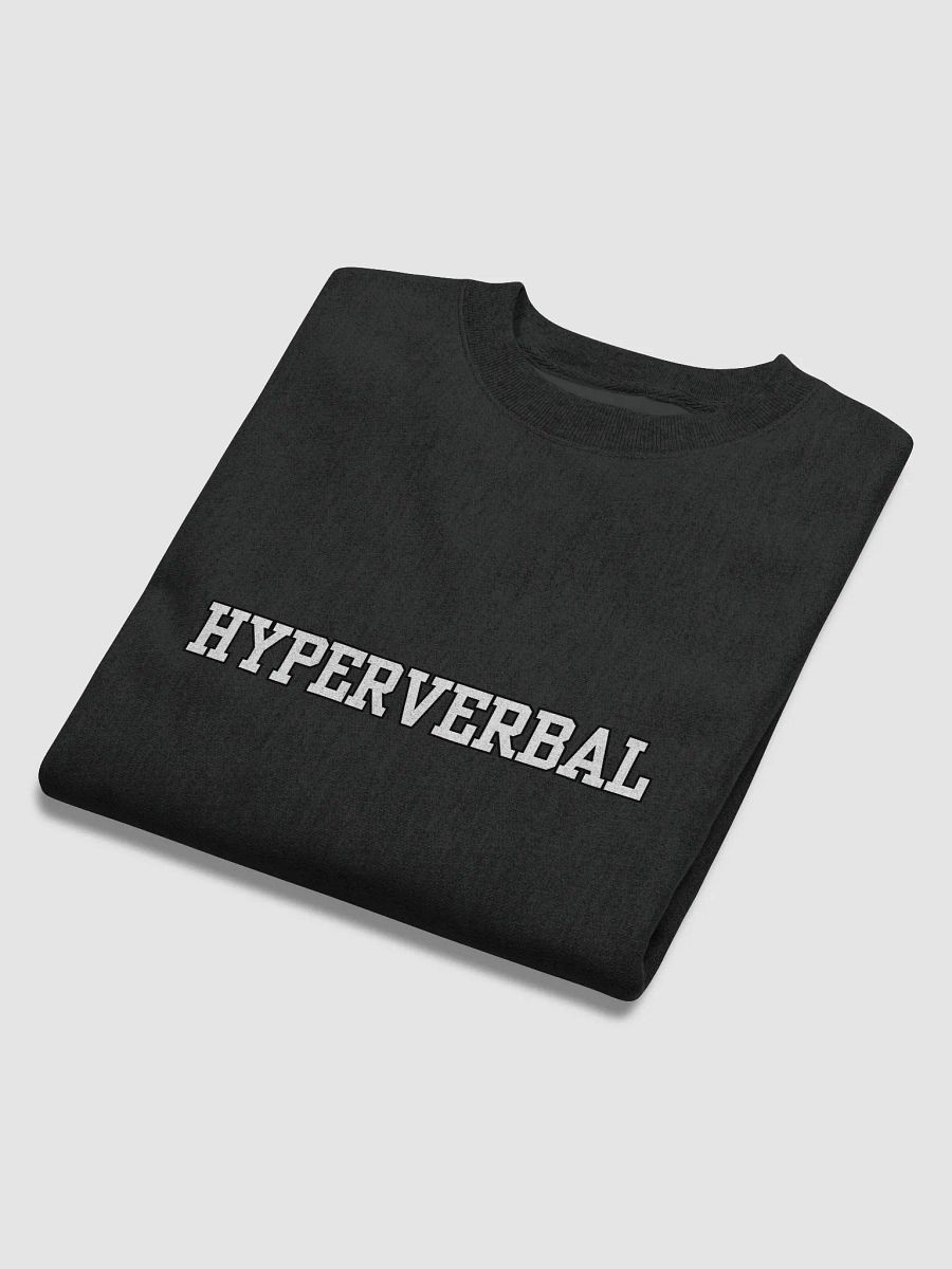HYPERVERBAL Champion crewneck product image (5)