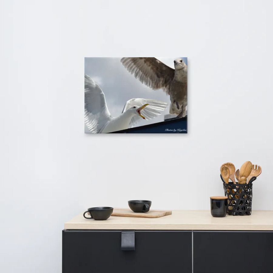 Seagull's Fighting product image (8)