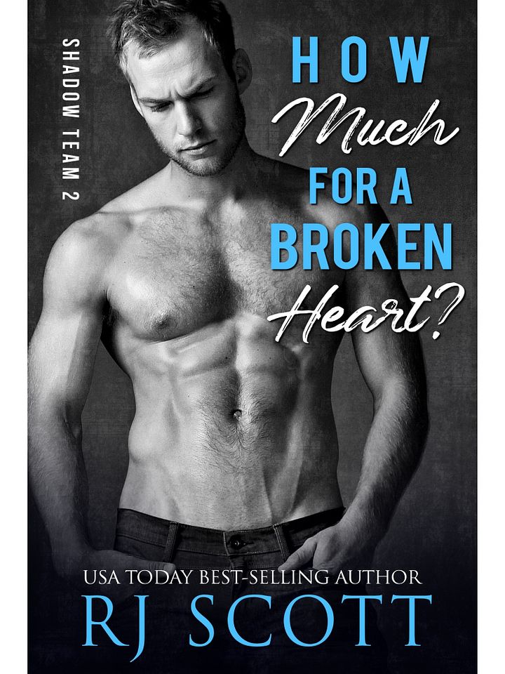 How Much For A Broken Heart? (Shadow Team 2) - paperback product image (2)