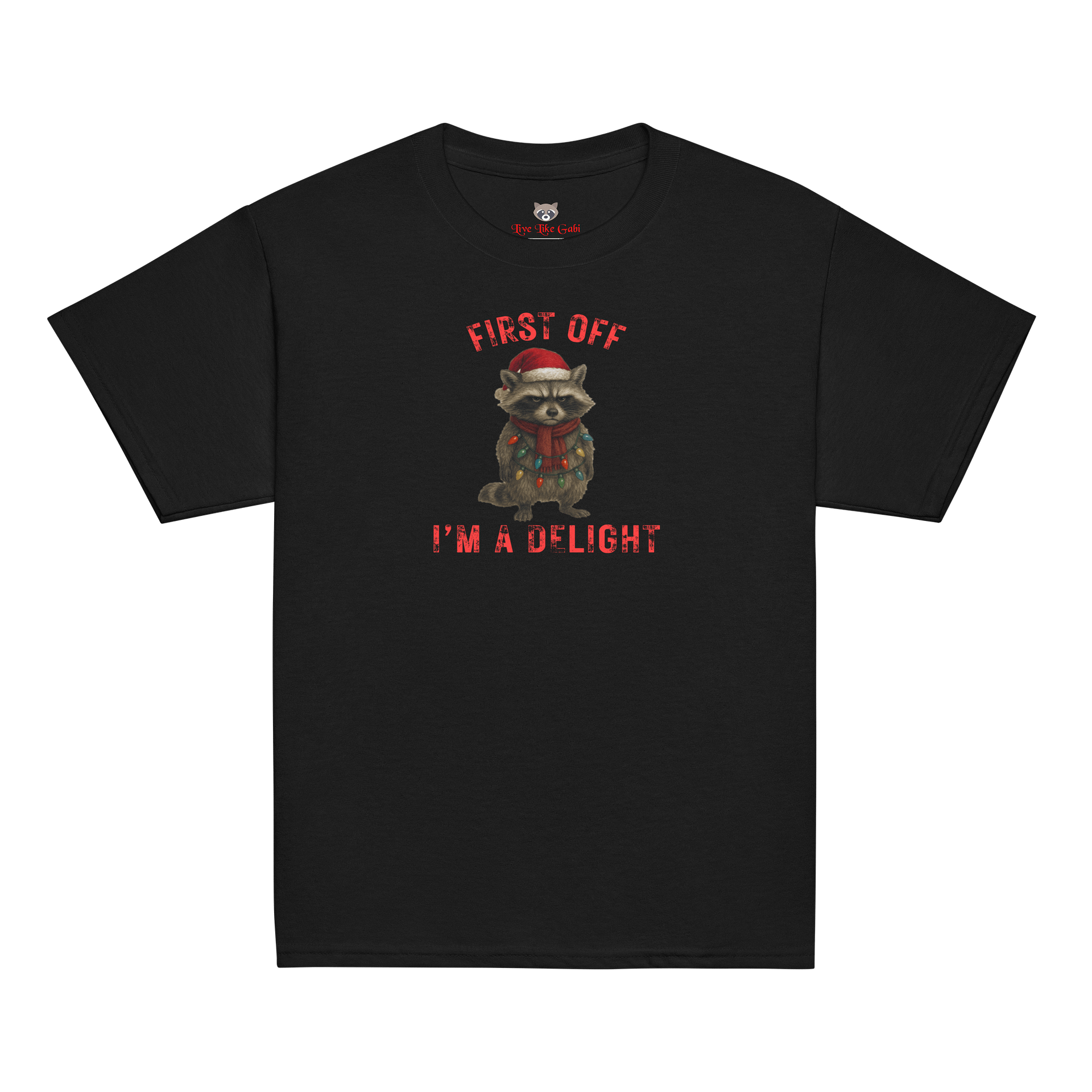 I'm A Delight Raccoon Youth Tee product image (2)
