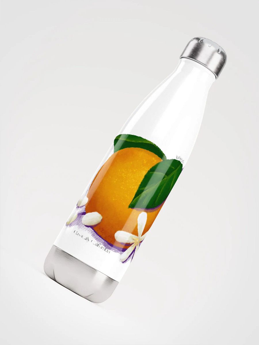 kyburg60 - Classically Californian Steel Bottle product image (4)