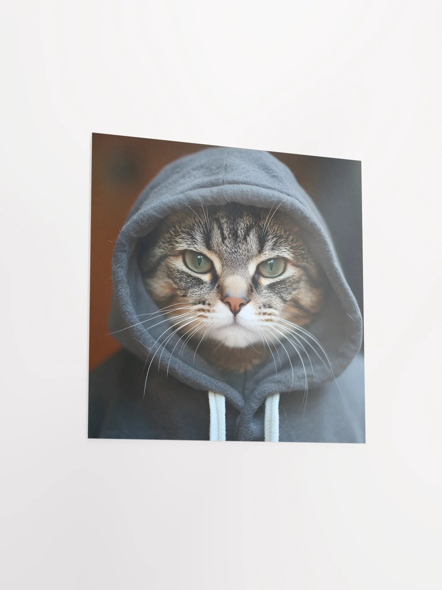 Hacker Cat product image (13)