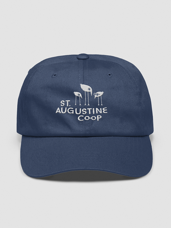 Co-op Hat product image (1)