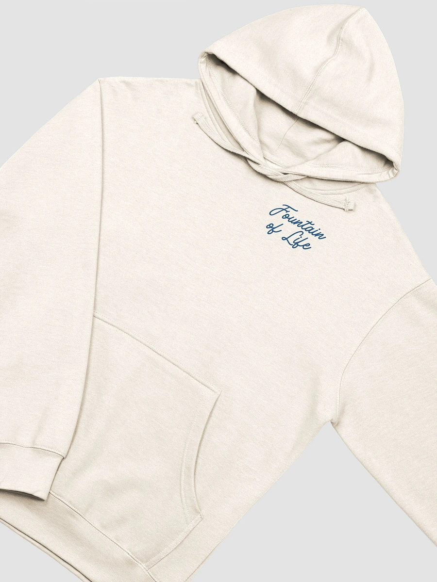 Psalms 36:9 Hoodie product image (3)