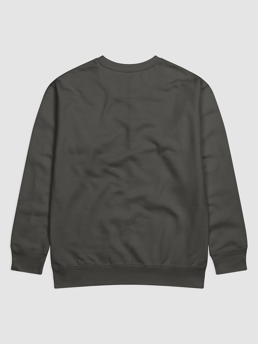 GNOSIS Project Limited Edition Sweatshirt 2025 product image (2)