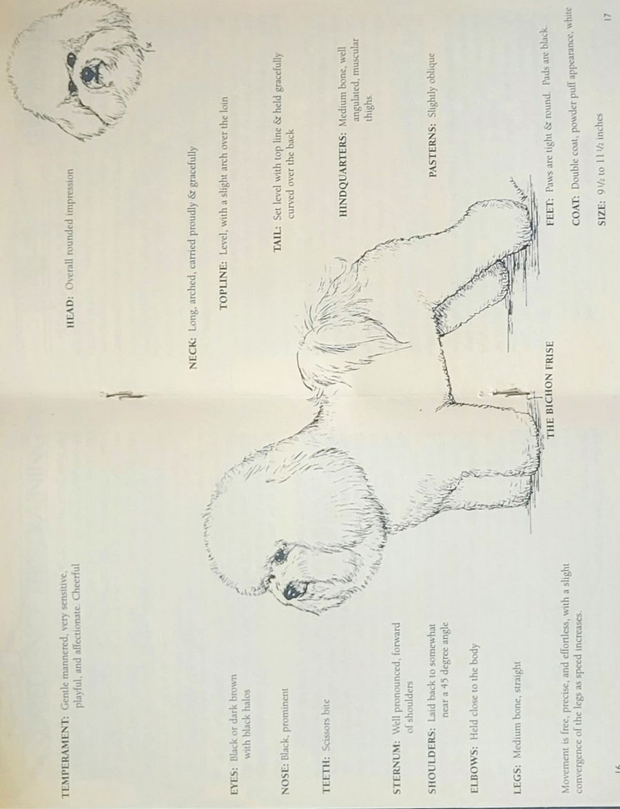 Booklet - Your Bichon Frise product image (2)