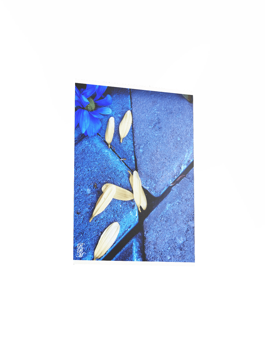 Blue Flower and Yellow Petals product image (6)
