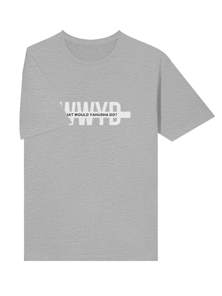 WWYD Gray T-Shirt product image (5)