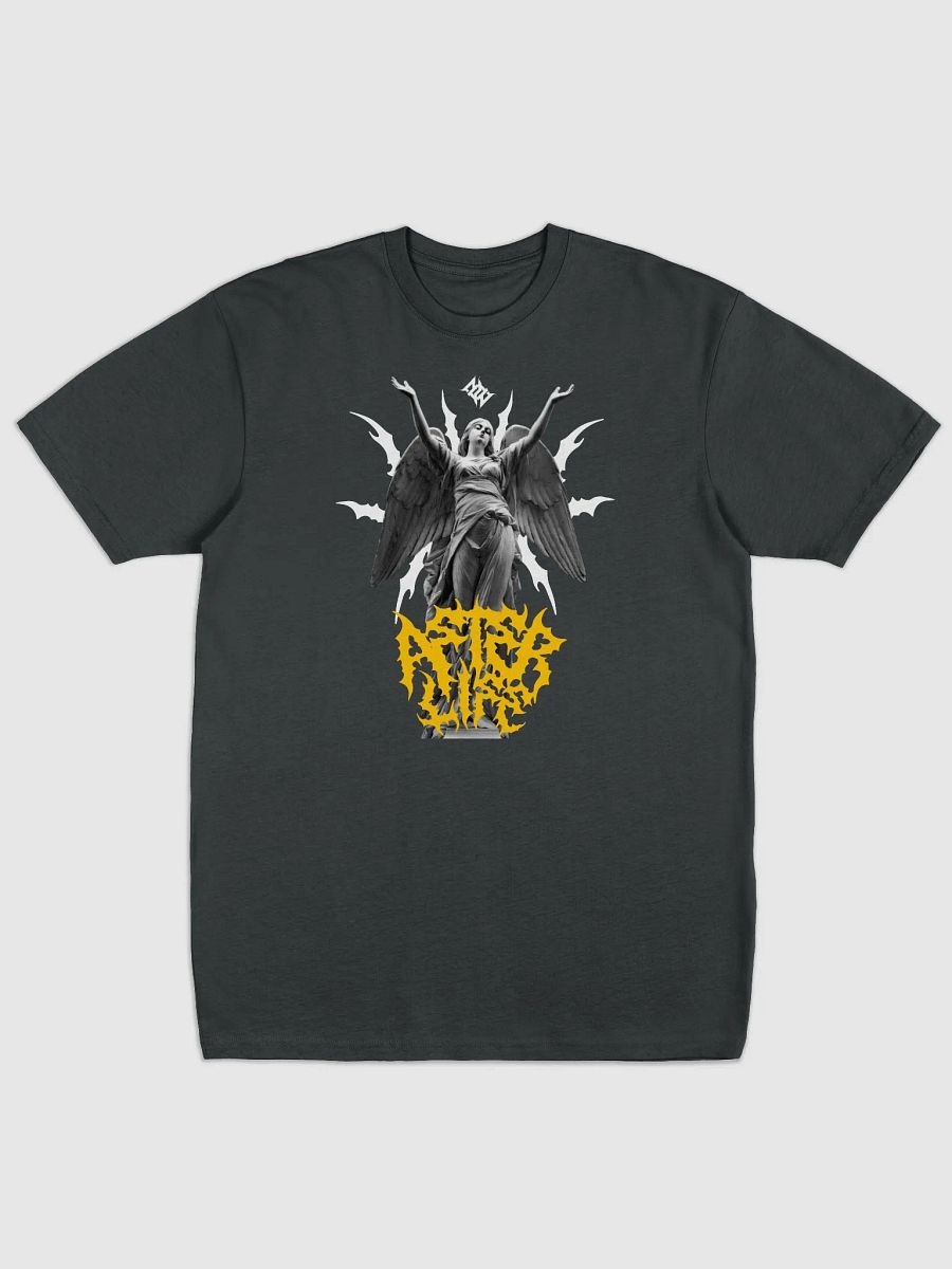 AFTERLIFE Heavyweight tee product image (2)