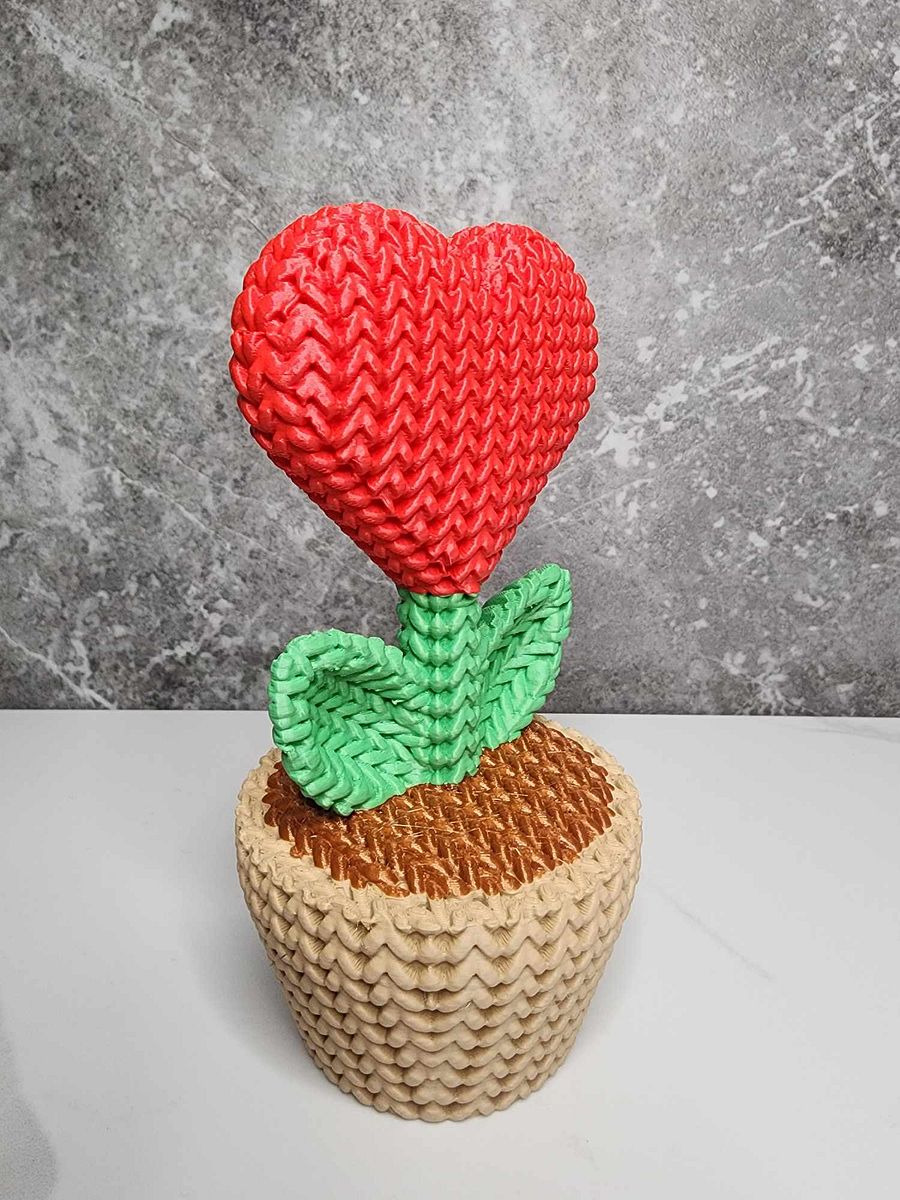 "Knitted" Heart Plant in a Pot product image (4)