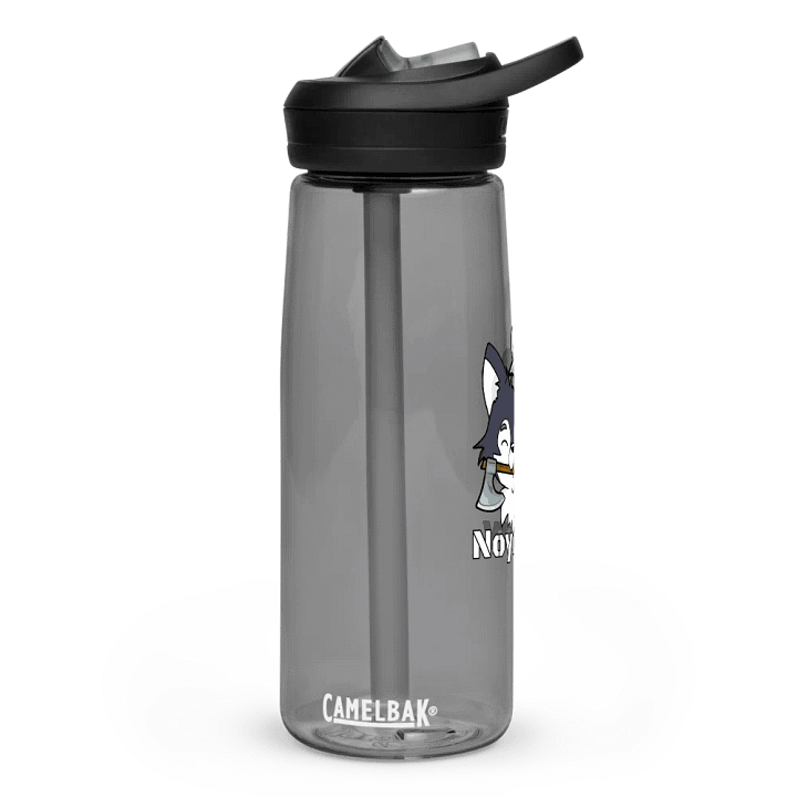 The Amadeus Raider Camelbak Water Bottle product image (20)
