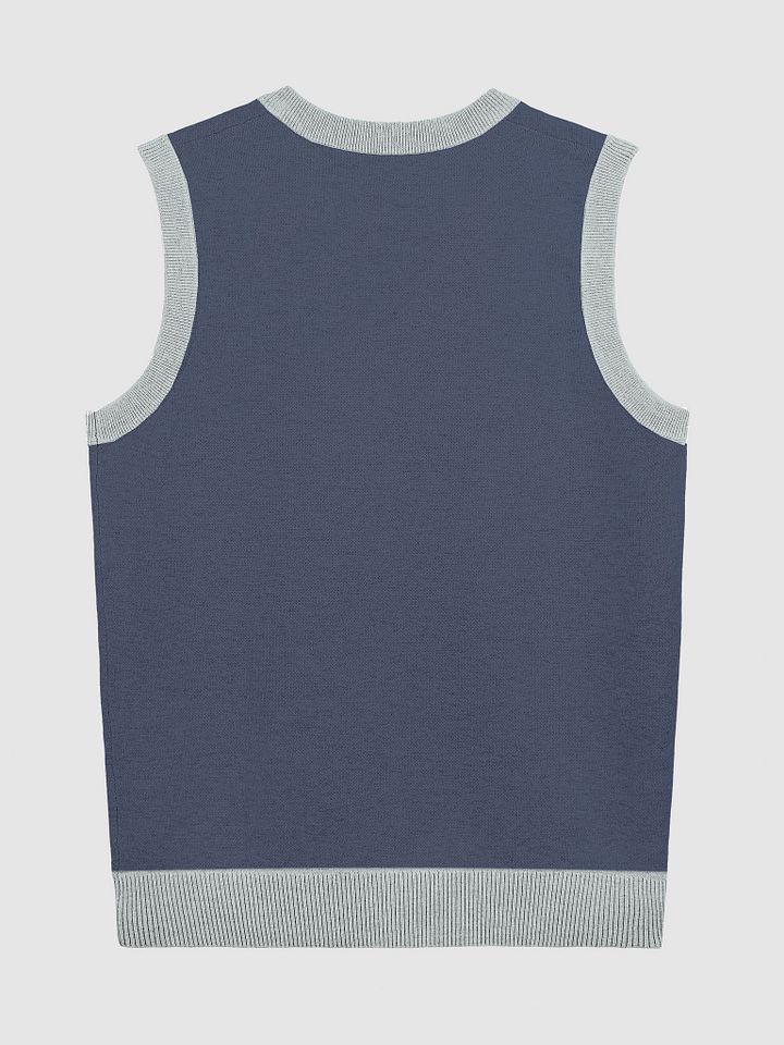 BUSY-BRAINED (lg. design, navy and powder blue) knitwear vest product image (9)