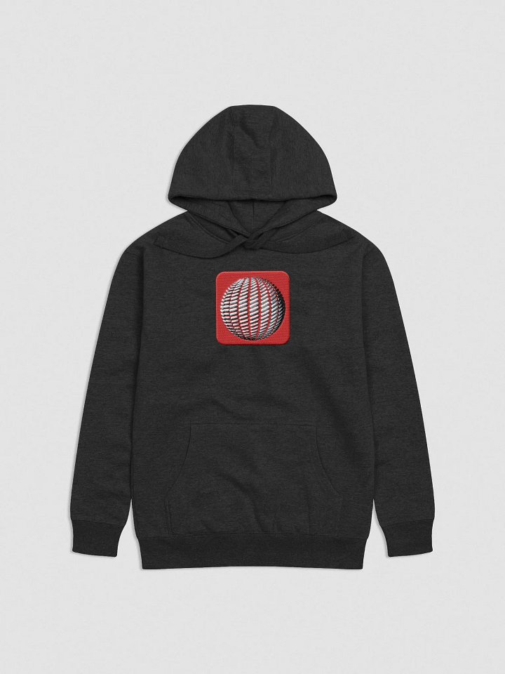 Embroidered Hoodie product image (5)