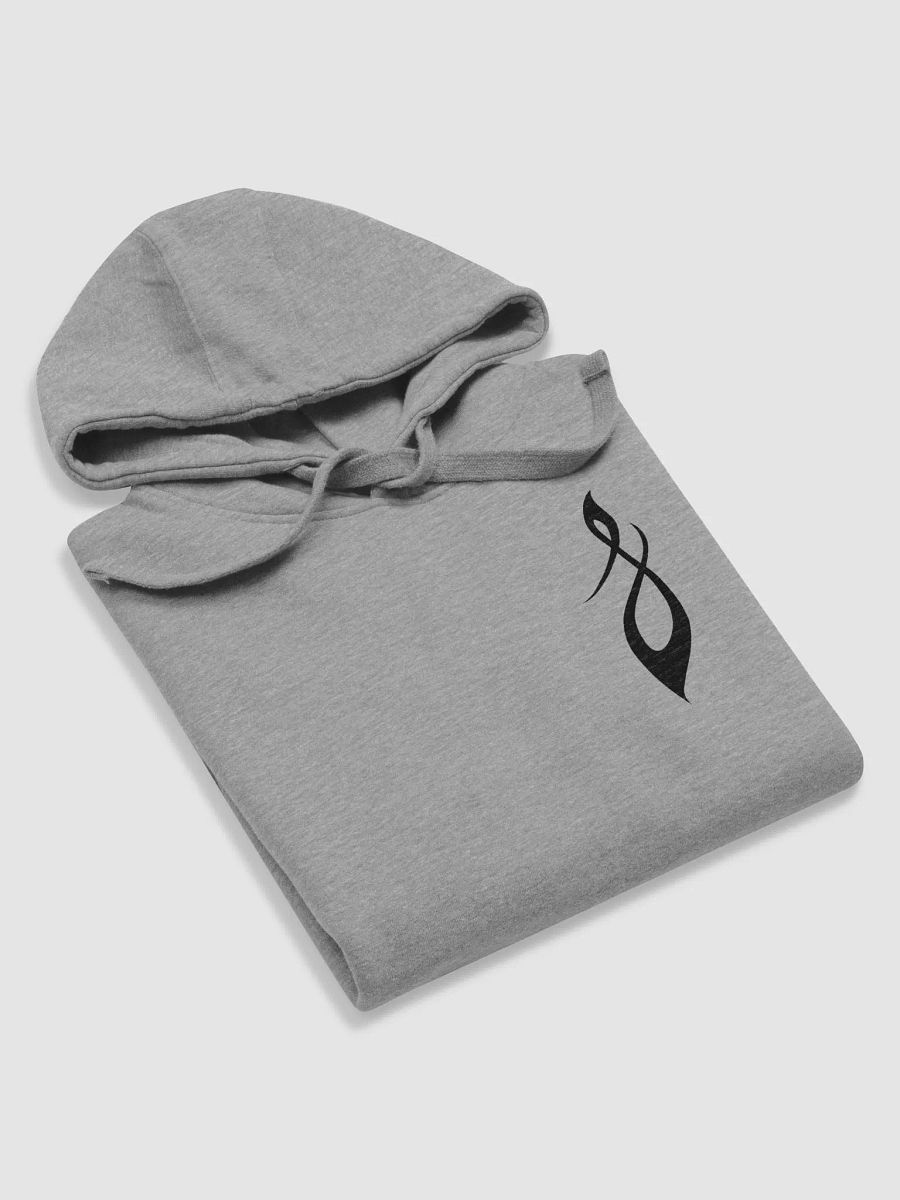 Classic Logo Thick Hoodie - Black Logo product image (5)