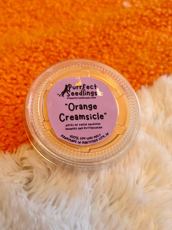 Orange Creamsicle Wax Melt product image (1)