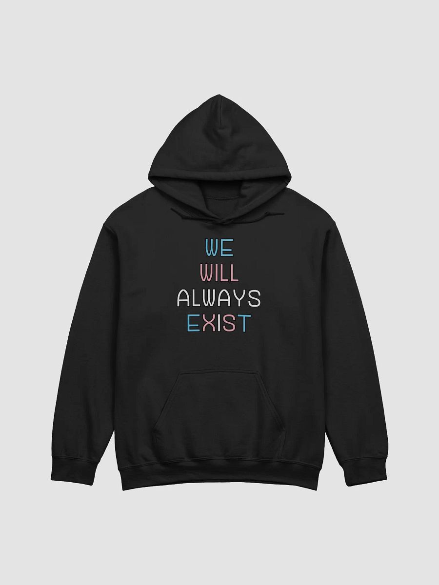 We Will Always Exist Trans Hoodie product image (1)