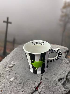 Syracuse broadway #beetlejuice #beetlejuicebeetlejuice #broadway #broadwaymusicals #syracuse #merch #familytime 