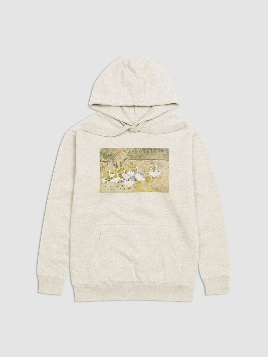 1873 Ducks Hoodie product image (2)