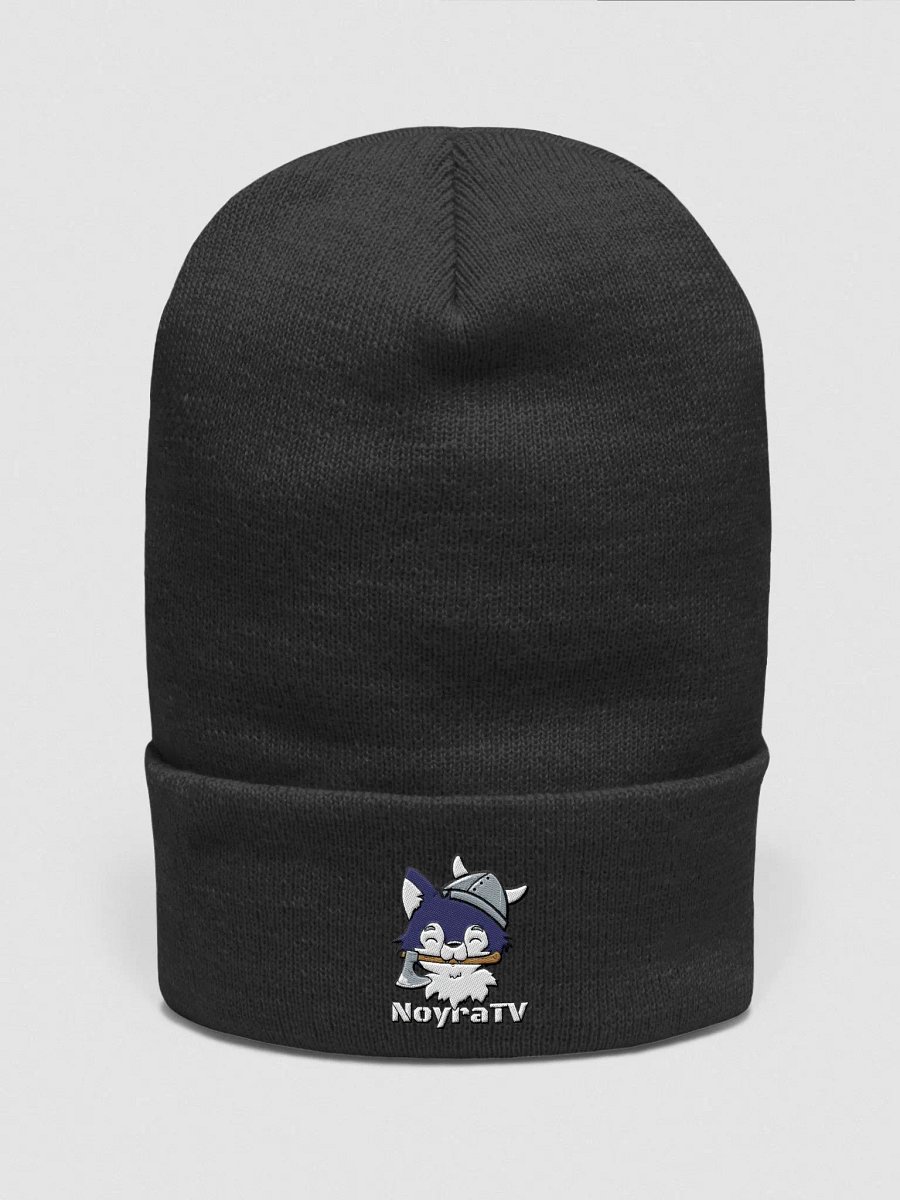 The Amadeus Raider Beenie product image (1)