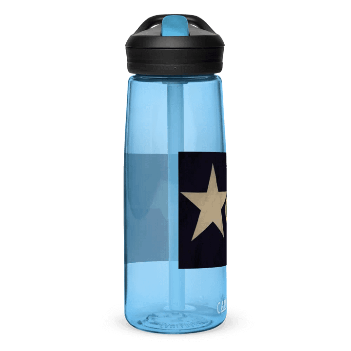 "Texas" Water Bottle product image (2)