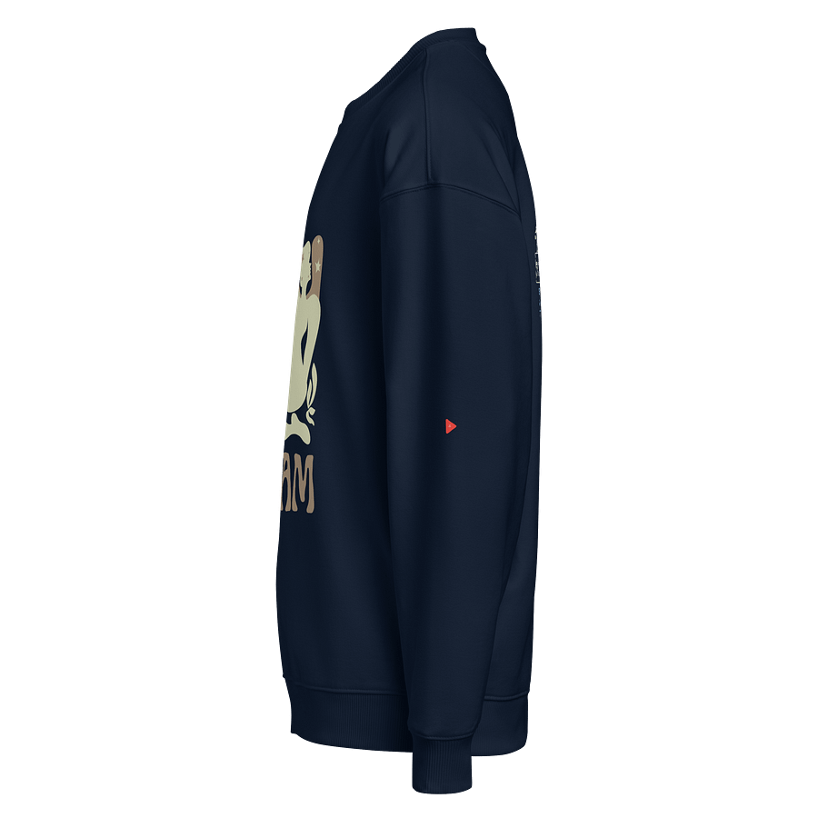 Indie Birds Dreamer Organic Oversized Sweatshirt product image (3)