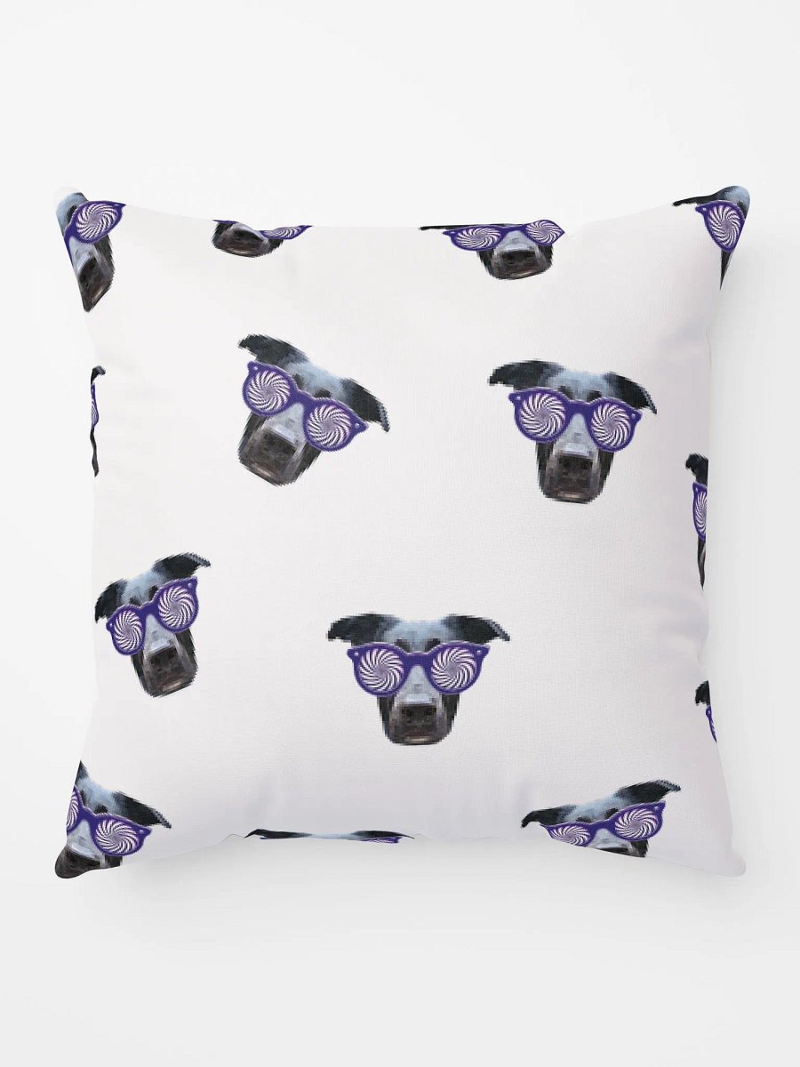 XraySnerb Pillow product image (9)