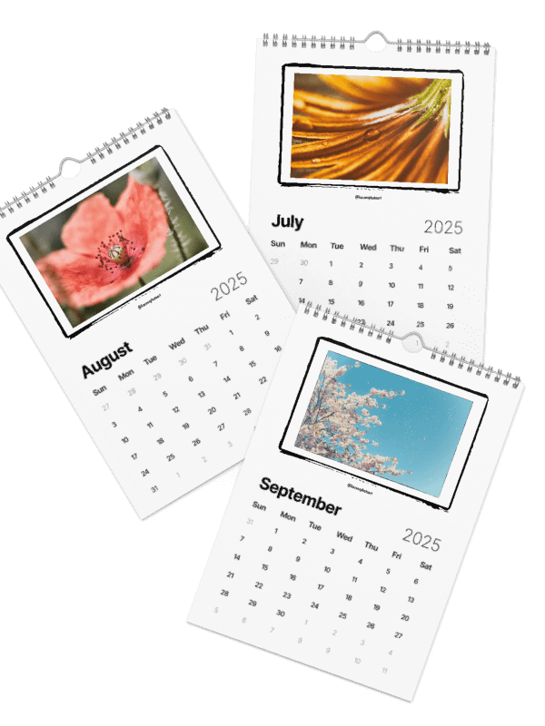Flowers Wall Calendar 2025 product image (4)