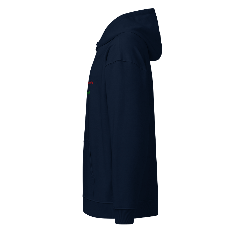 UFO Ultraconservative Family Oriented Hoodie product image (6)