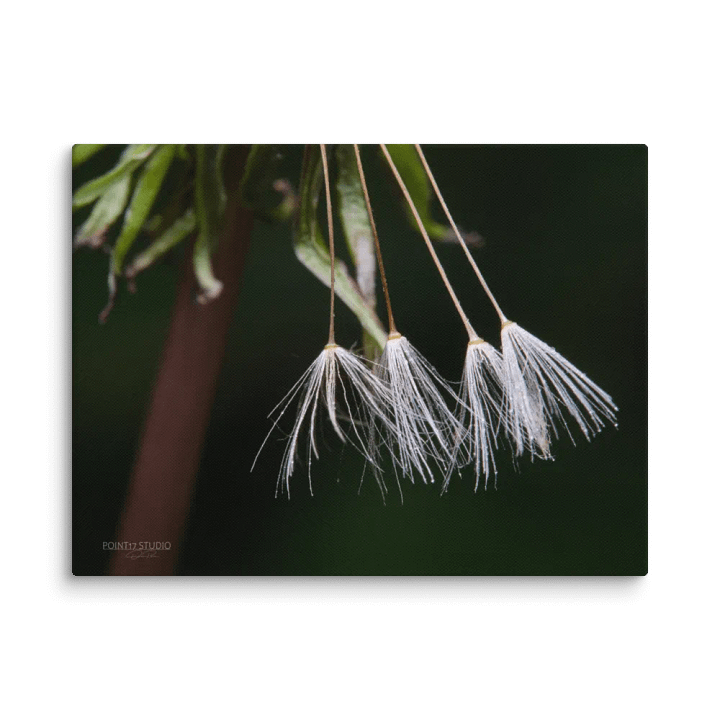 Four Remaining Wishes - Print On Canvas product image (2)