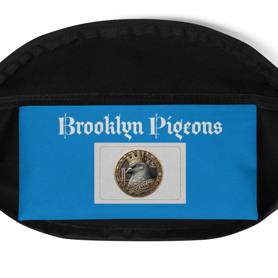 BIGGY Fanny Pack (BLUE) product image (4)