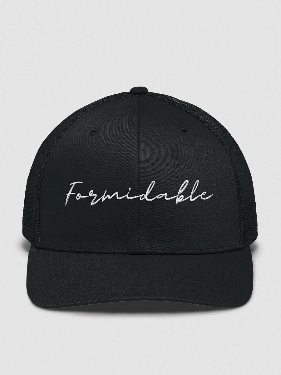 Formidable Snapback product image (3)
