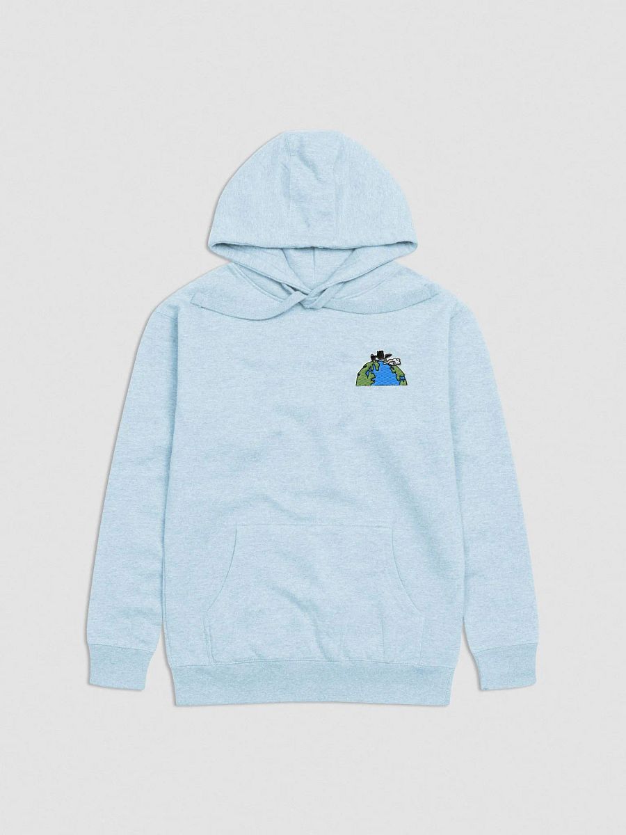 irushtheworld Embroidered Hoodie product image (5)