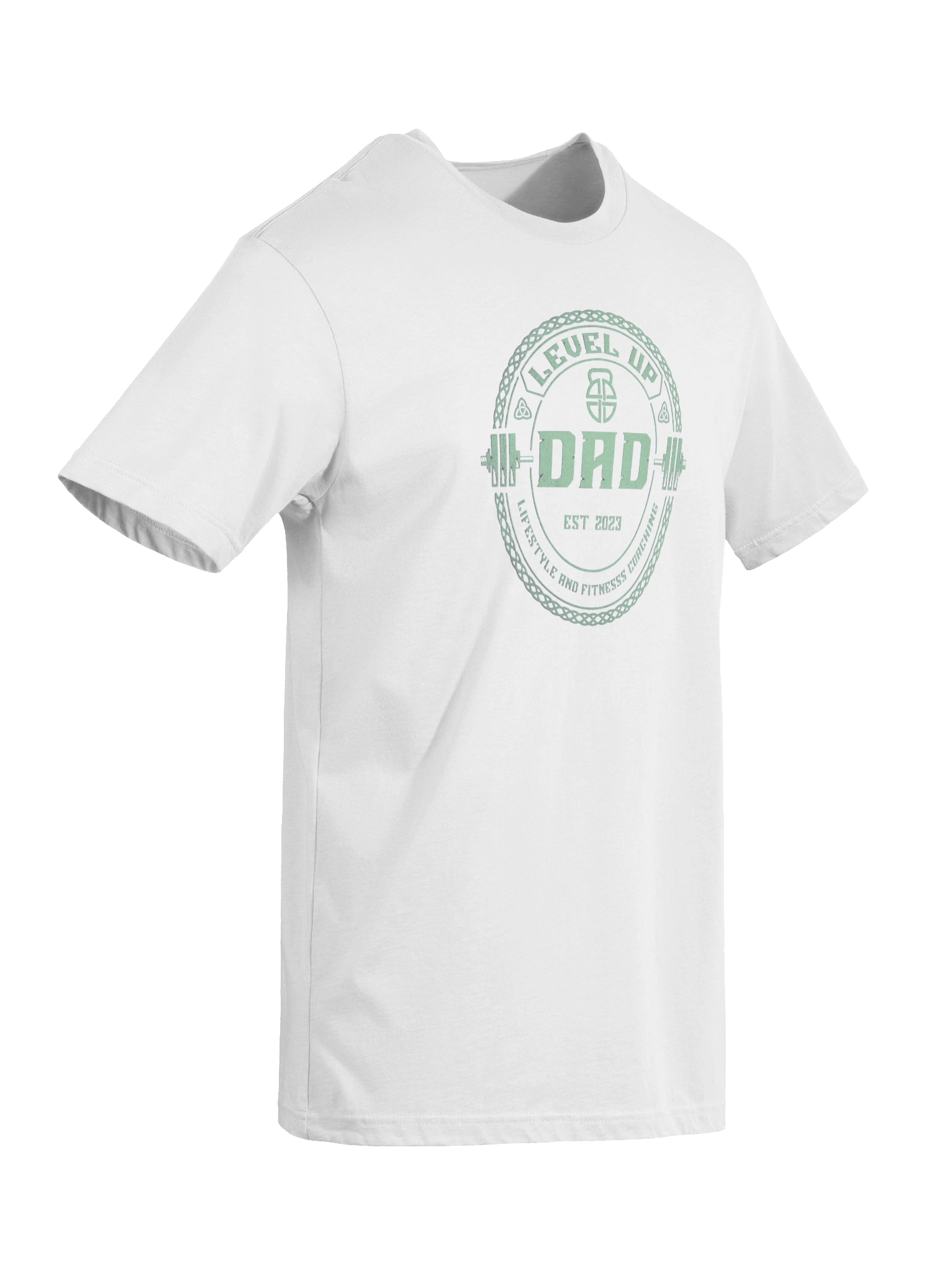 Level Up Dad T (Mint) product image (9)