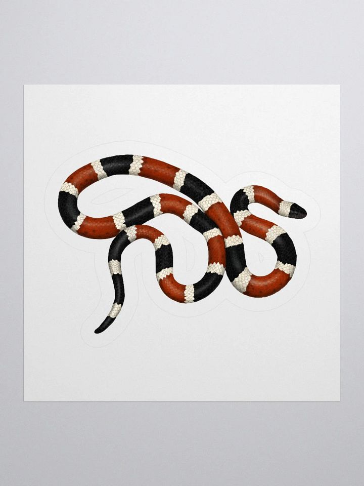 Die-Cut Sticker – Sonoran Coralsnake product image (1)