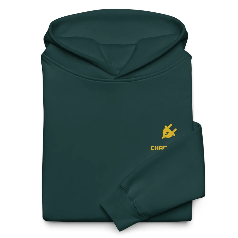 Energize Premium Hoodie product image (9)