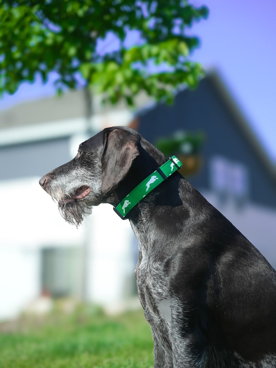 Forest Green Collar product image (1)